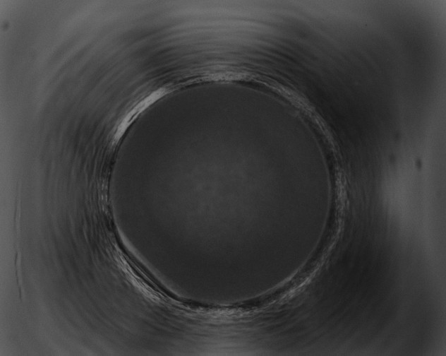 X0000051890889200507020053