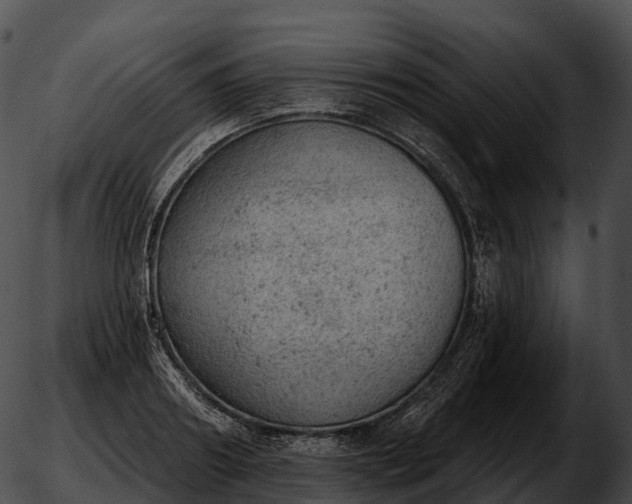 X0000051890890200507020053