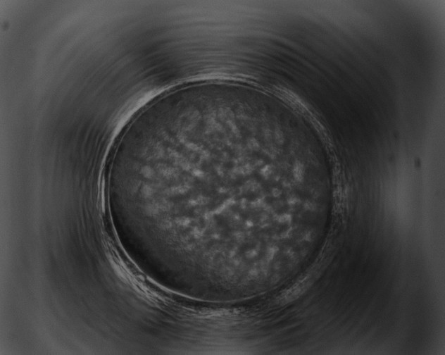 X0000051890892200507020053