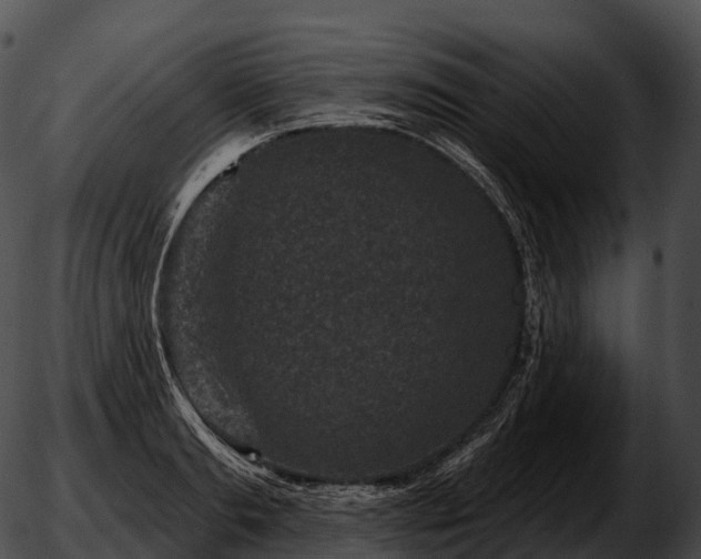 X0000051890893200507020053