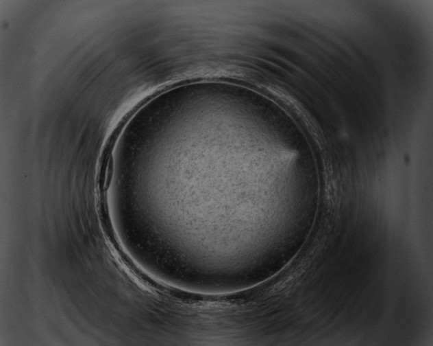 X0000051890894200507020053