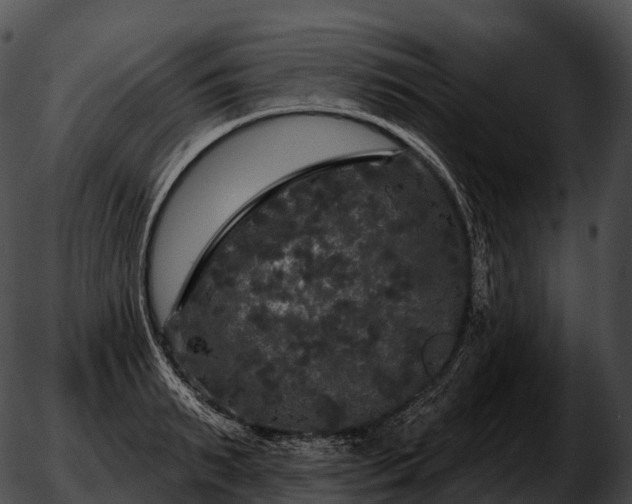 X0000051890895200507020053