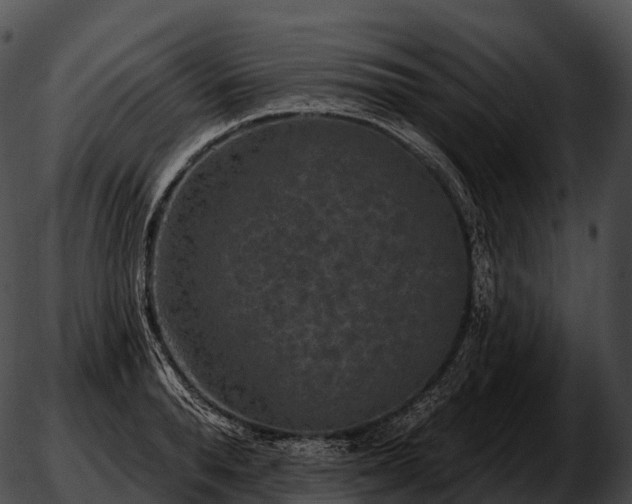 X0000051890896200507020053