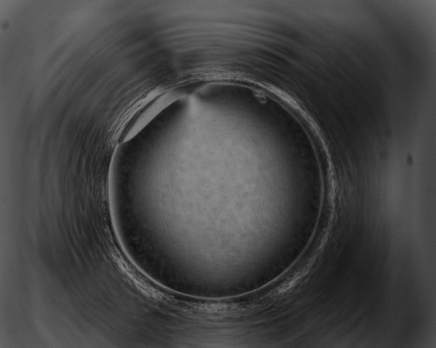 X0000051890897200507020053