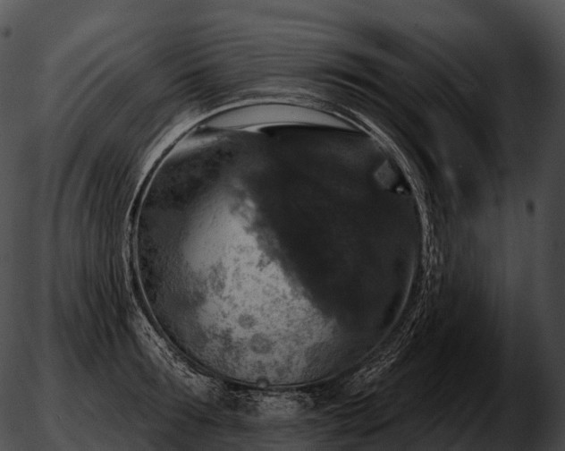 X0000051890899200507020053