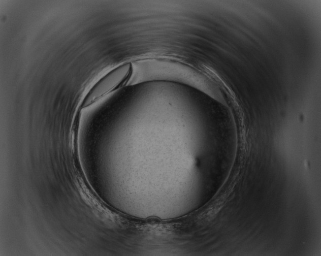 X0000051890900200507020053