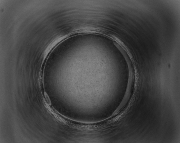 X0000051890901200507020053