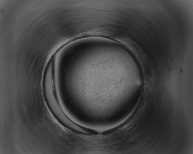 X0000051890902200507020053