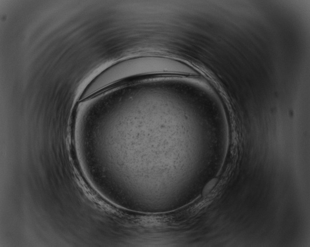 X0000051890904200507020053