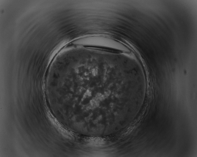 X0000051890907200507020053