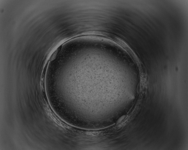 X0000051890908200507020053