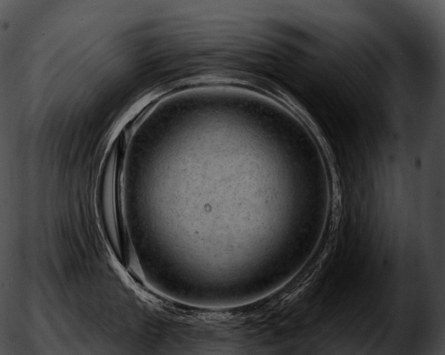 X0000051890909200507020053