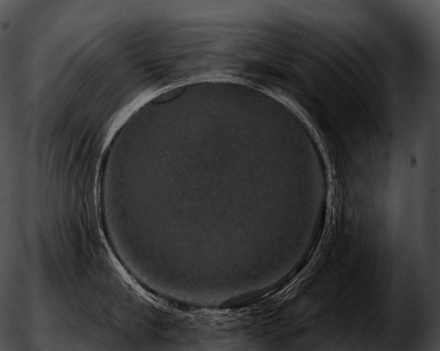 X0000051890910200507020053