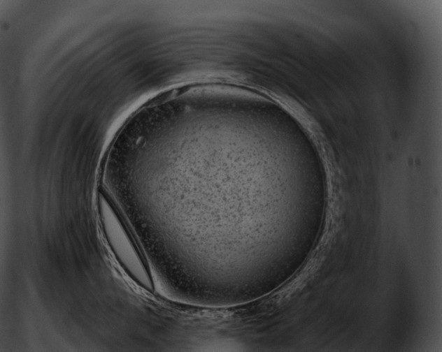 X0000051890912200507020052