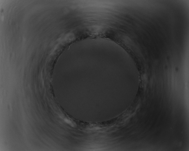 X0000051890913200507020052