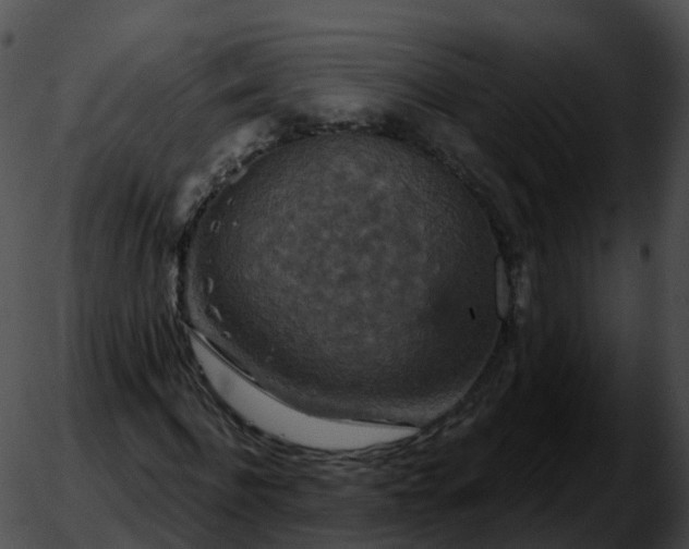 X0000051890916200507020052