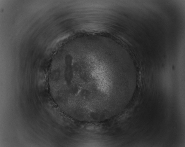 X0000051890917200507020052