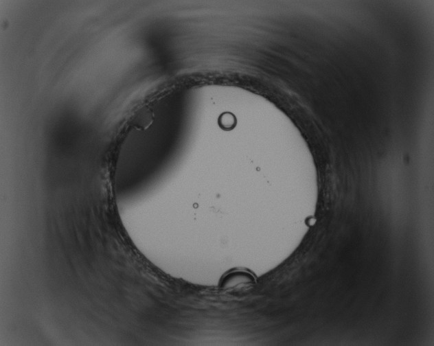 X0000051890918200507020052