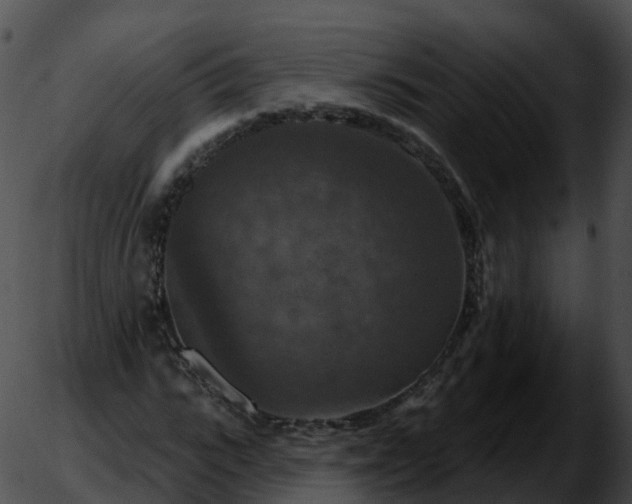 X0000051890919200507020052