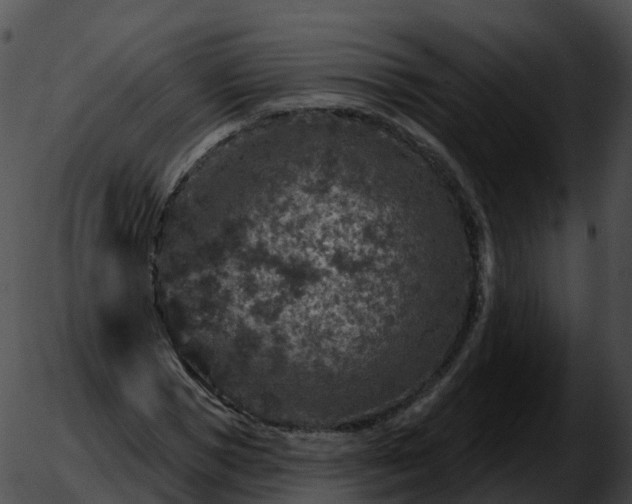 X0000051890921200507020052