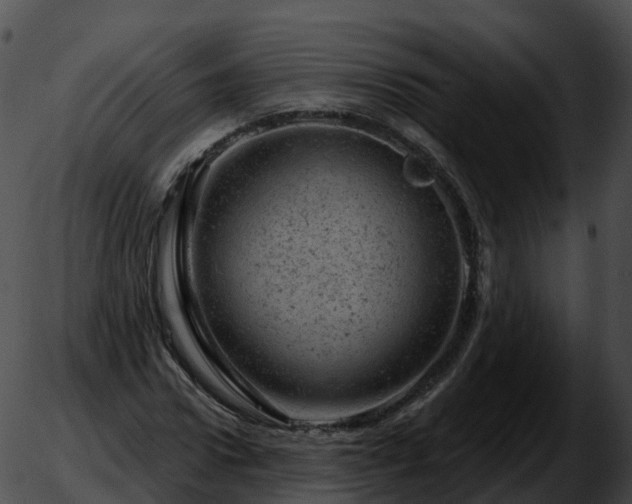 X0000051890922200507020052