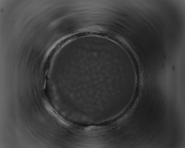 X0000051890923200507020052