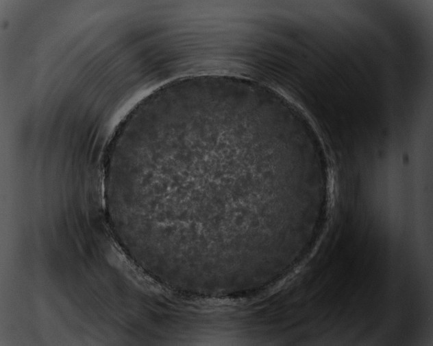 X0000051890925200507020052