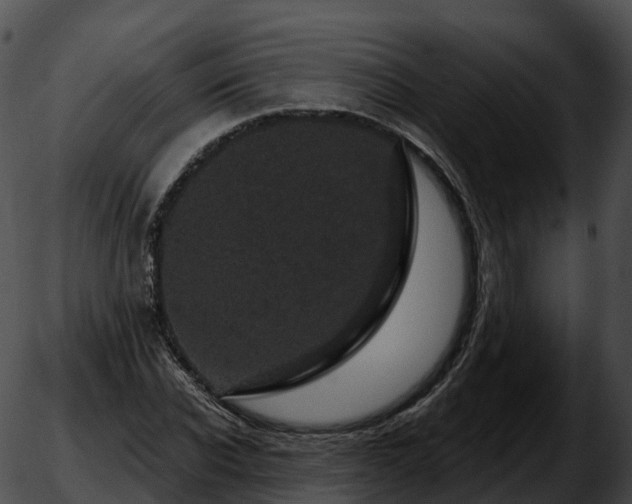 X0000051890926200507020052