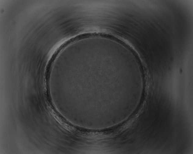 X0000051890927200507020052