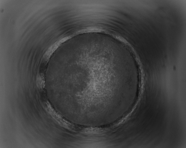 X0000051890929200507020052