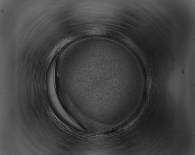 X0000051890930200507020052