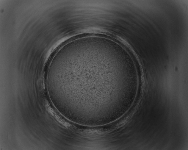 X0000051890931200507020052