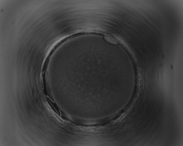 X0000051890932200507020052