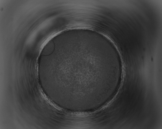 X0000051890933200507020052