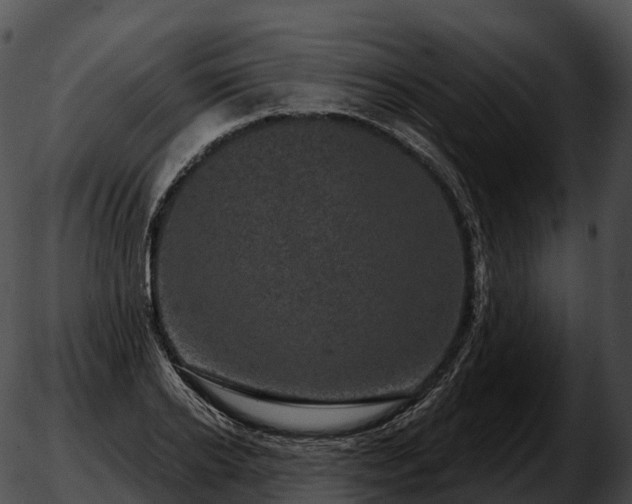 X0000051890934200507020052