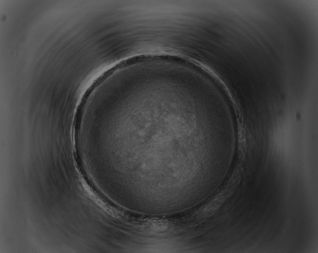 X0000051890935200507020052