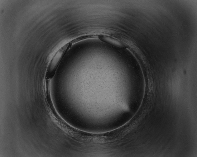 X0000051890936200507020052