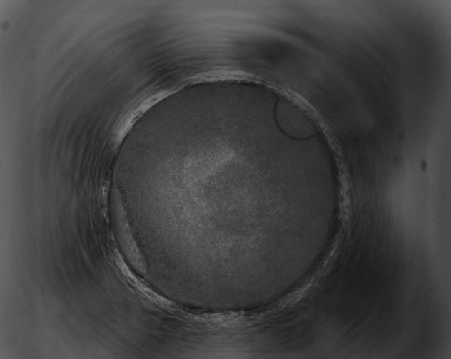 X0000051890937200507020052