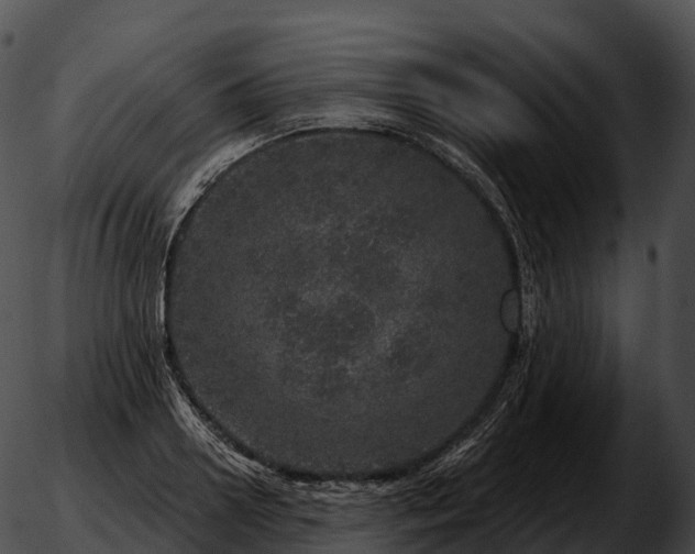 X0000051890938200507020052