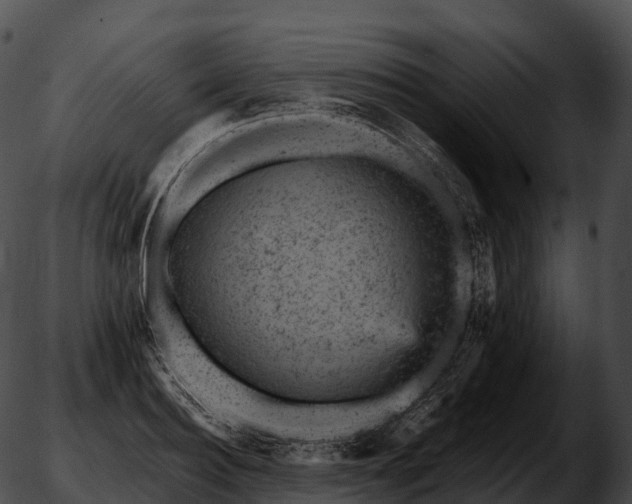 X0000051890940200507020052