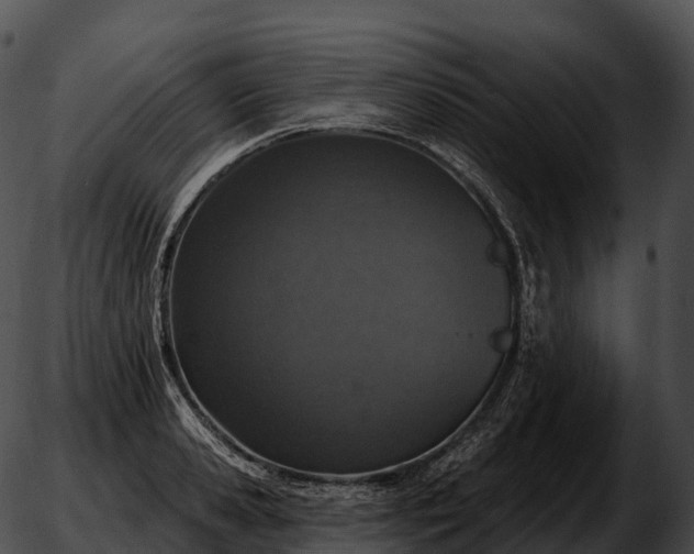 X0000051890941200507020052