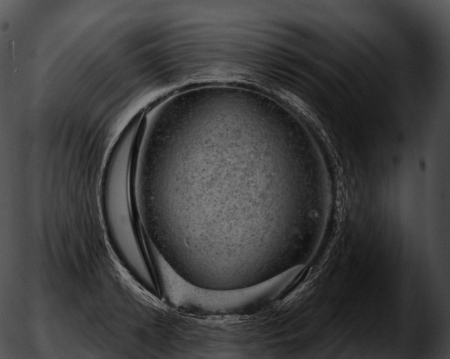 X0000051890942200507020052