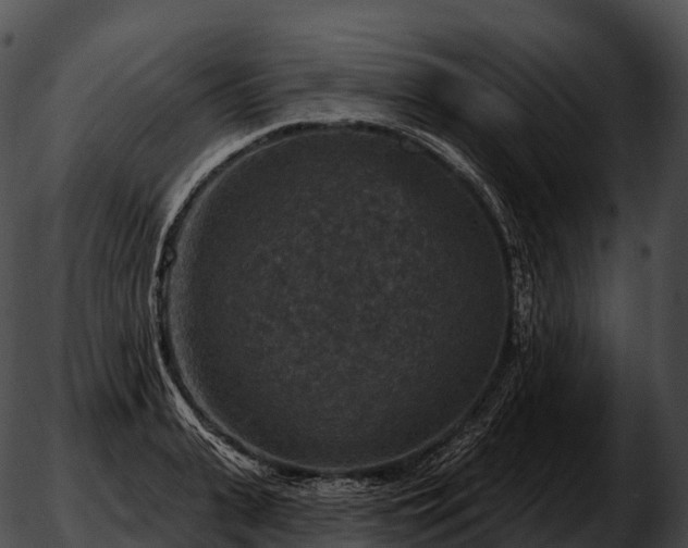 X0000051890943200507020052