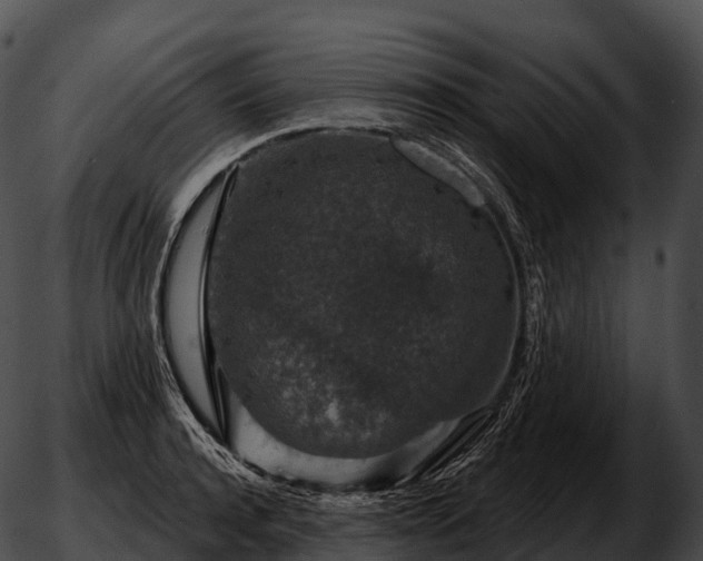 X0000051890944200507020052