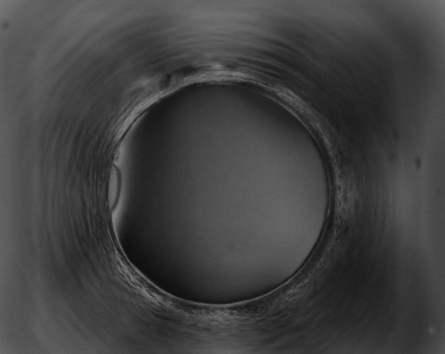 X0000051890945200507020052