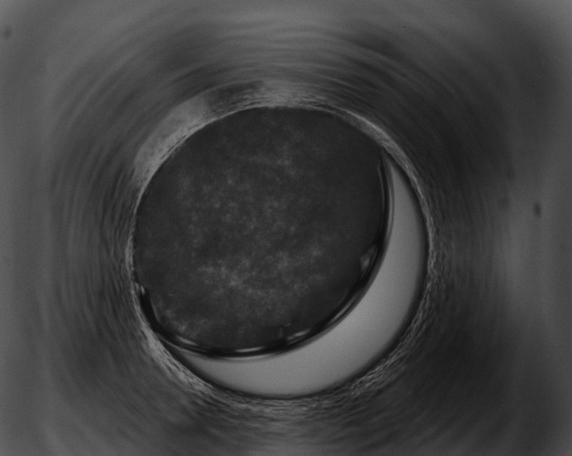 X0000051890946200507020052