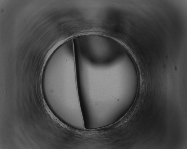 X0000051890949200507020052