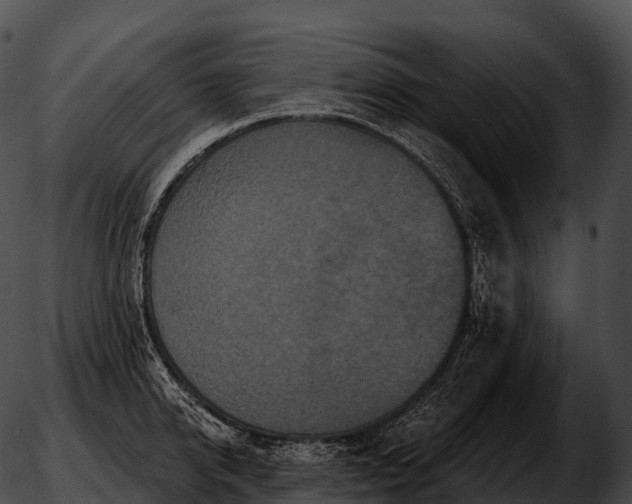 X0000051890950200507020052