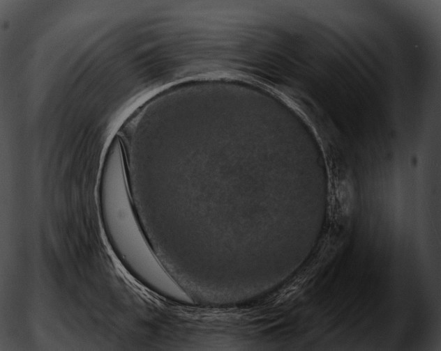 X0000051890951200507020052