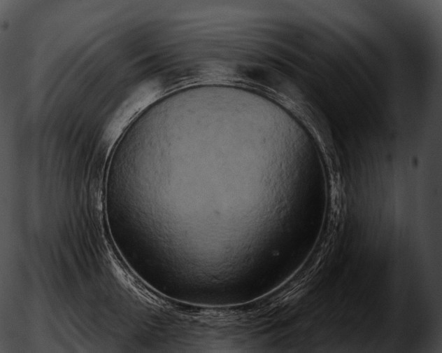 X0000051890954200507020052